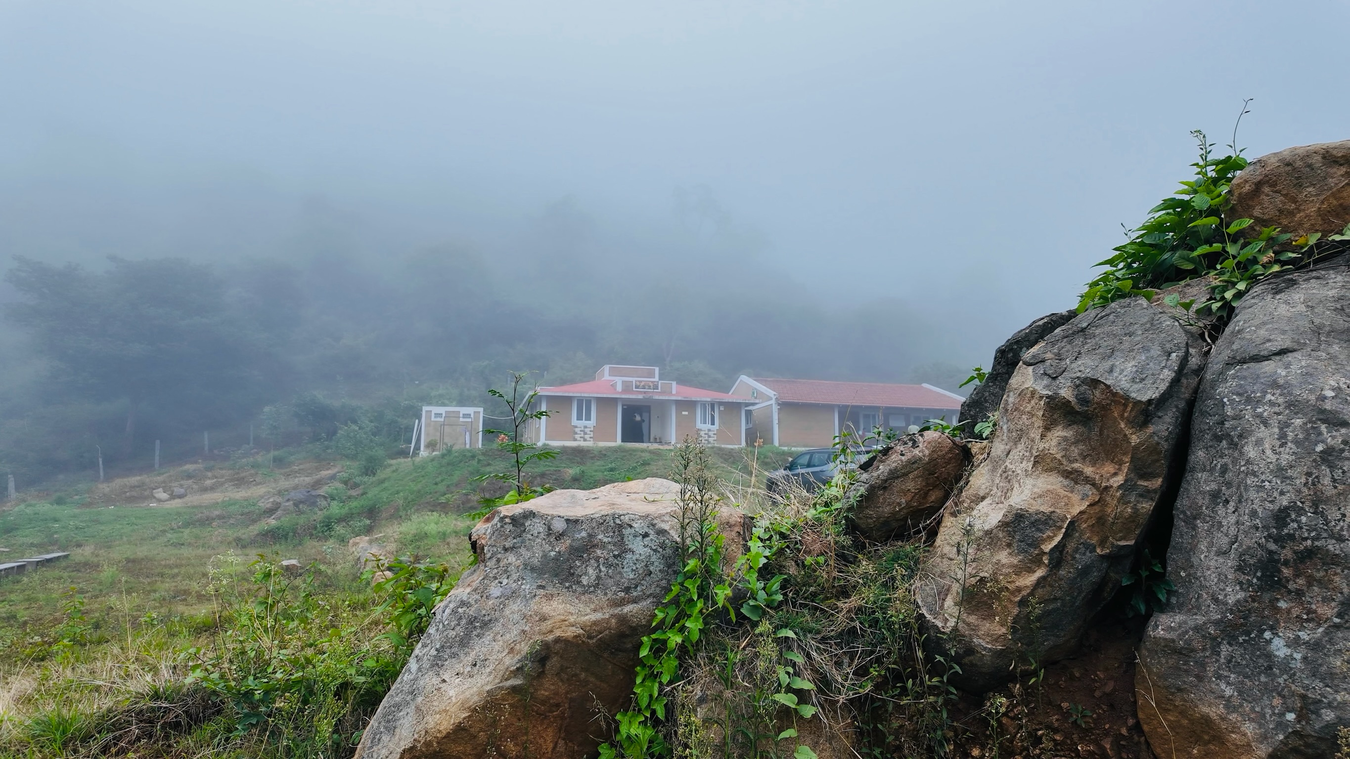 Discover Nithyavanam: A Retreat for Knowledge